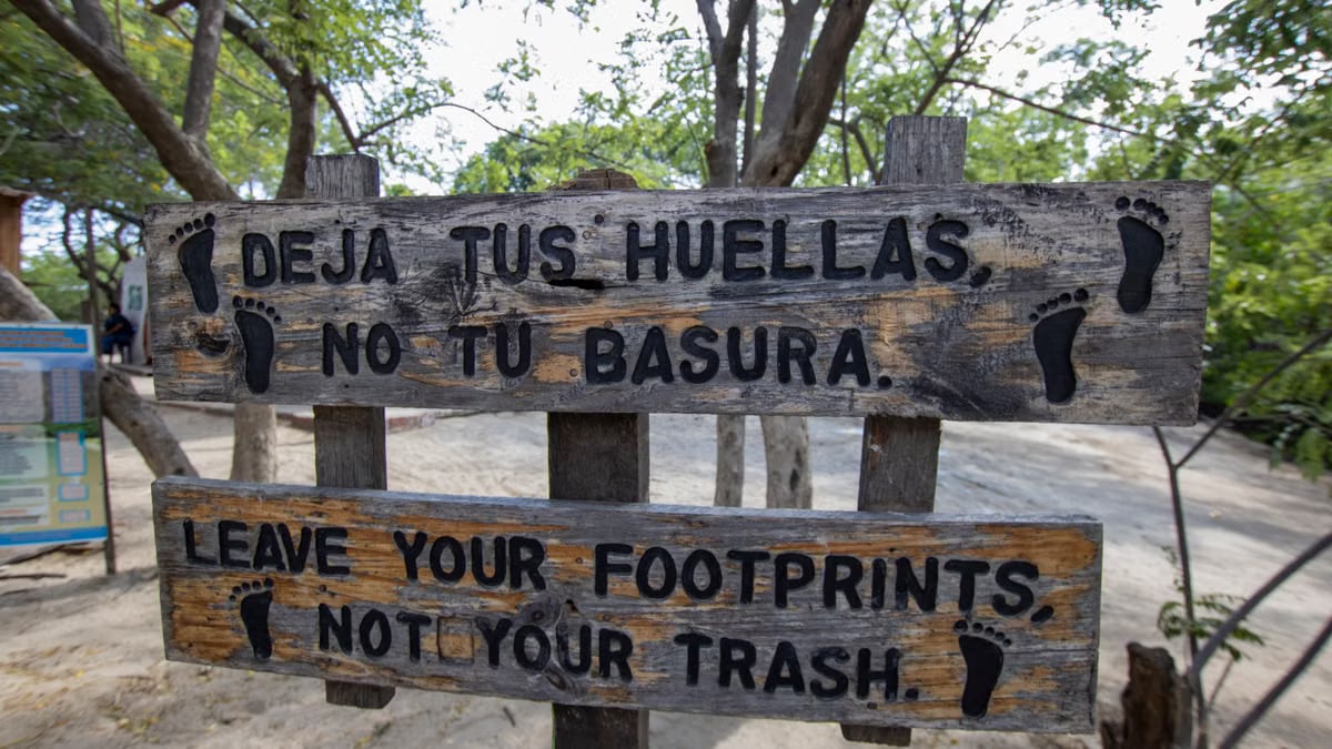 Wooden sign promoting nature preservation in a lush outdoor area.